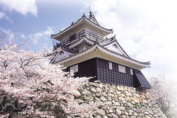 家康公が築城した浜松城はどんな城？