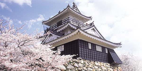 家康公が築城した浜松城はどんな城？